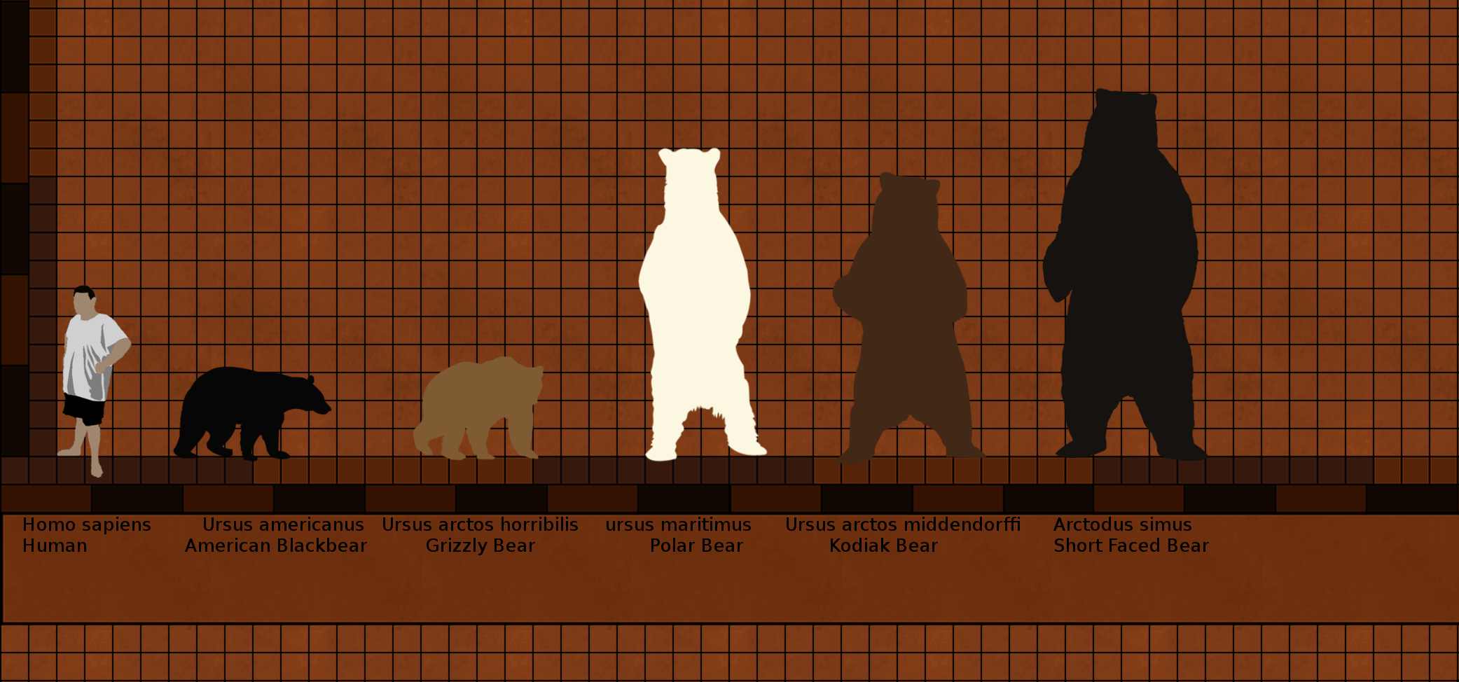 Bears 2, Bear Harder by Paleop on DeviantArt