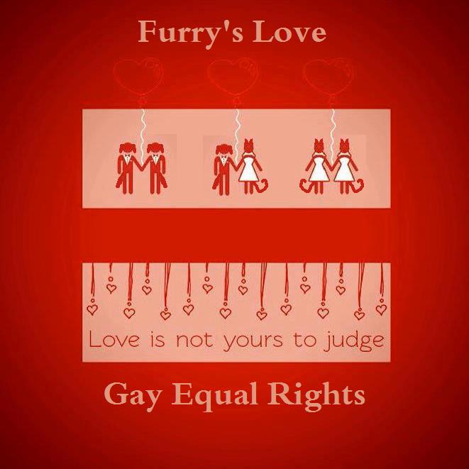 Equal Rights For Gay 116