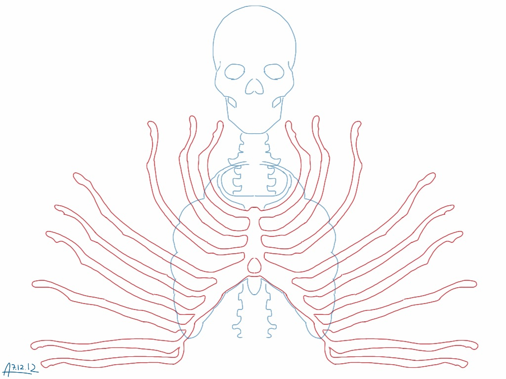 skeleton-rib-cage-template-printable-printable-templates-free