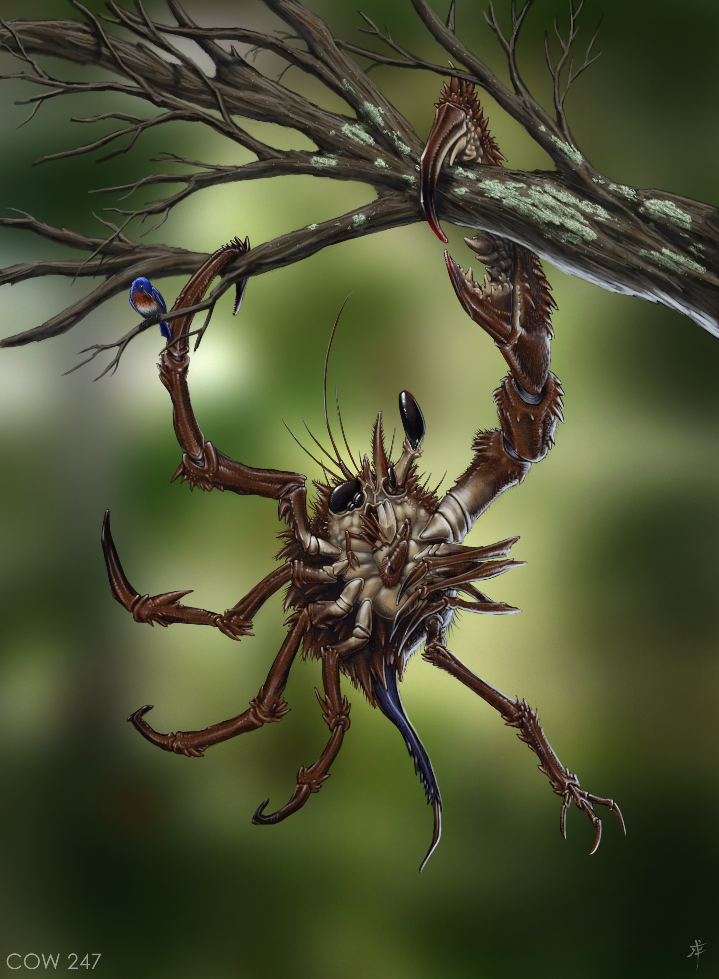 asymmetrical_tree_crab_by_rpowell77-d4p29cb.jpg