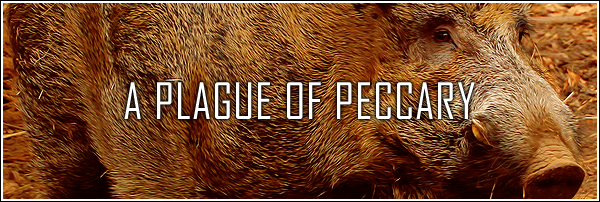 [Image: peccary3_by_euphoriclies-d9dfbhd.png]