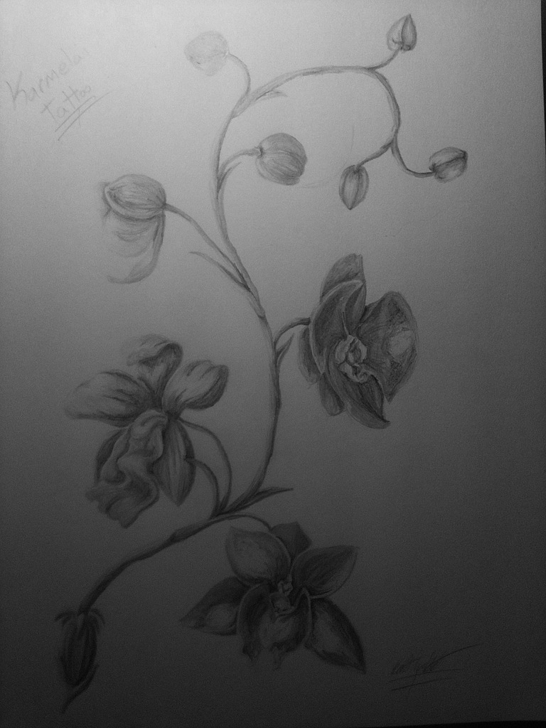Orchid Drawing Tattoo