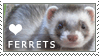 Ferret Love Stamp by cloudrat