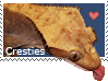 gecko_licking_stamp_by_rep_phibian.gif