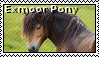 exmoor_pony_stamp_by_anahsiyah-d79cuxv.p