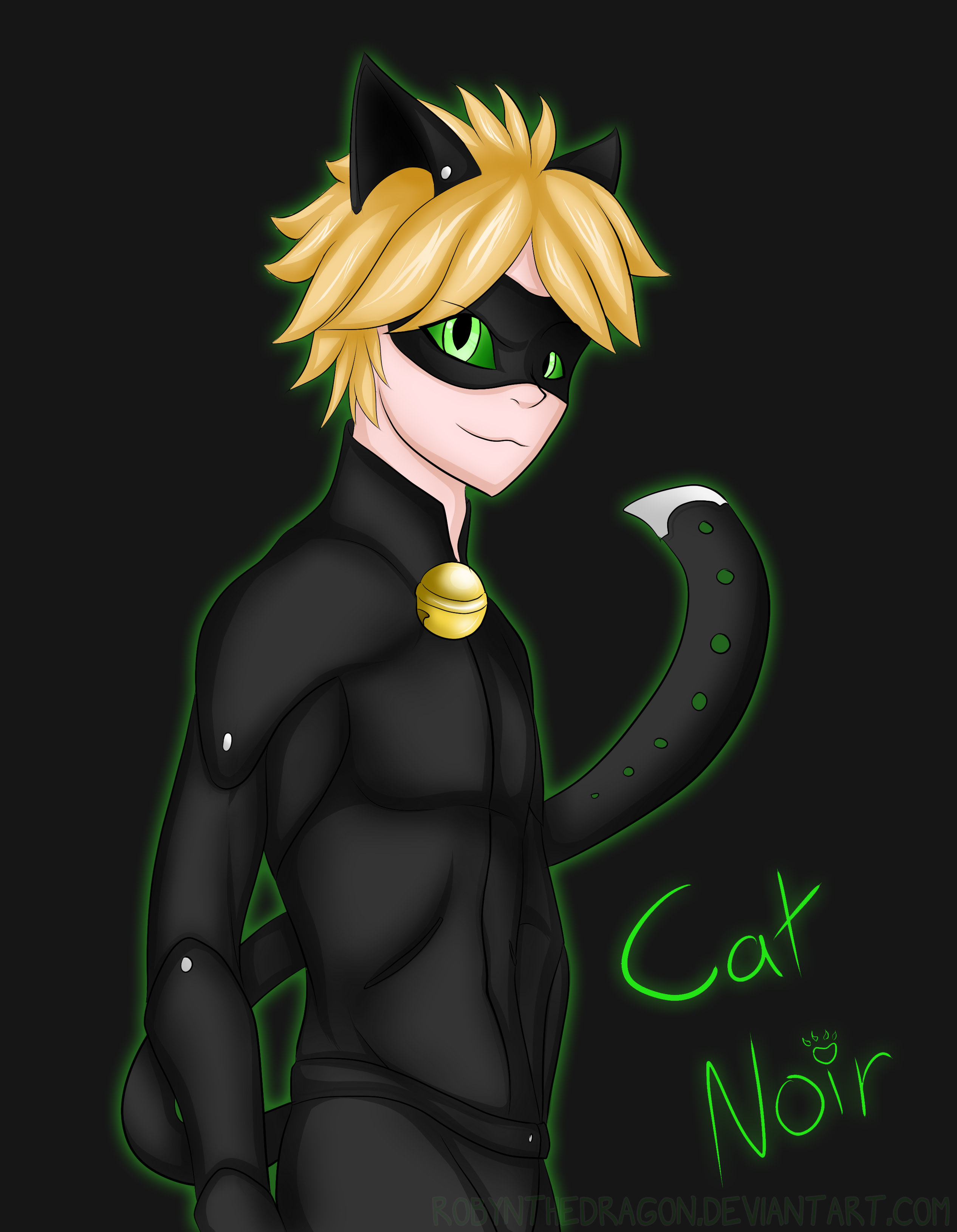 Cat Noir by RobynTheDragon on DeviantArt