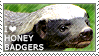 I love Honey Badgers by WishmasterAlchemist