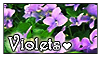 violet_stamp_by_kobbie3-d3jpvq4.png