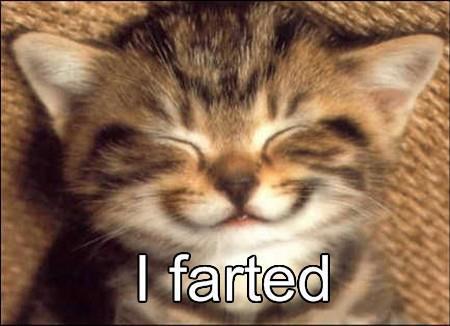 kitty_kat__i_farted_by_vyctoriyah-d59hk4