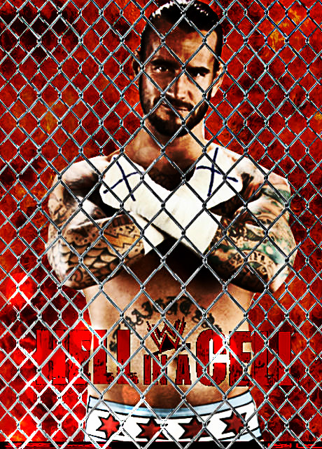 Hell in a Cell 2012 Poster by Omega6190