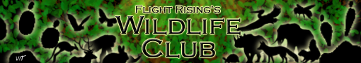 flight_rising_wildlife_club_banner_copy_by_vet_in_training-d9y4cqy.png