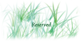 reserved_by_lisegathe-db393lv.png