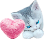 Little kitten with a fur heart 150px by EXOstock