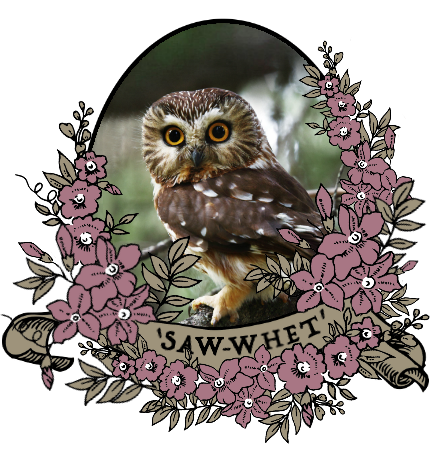 saw_whet_by_myserpentine-d9m61po.png