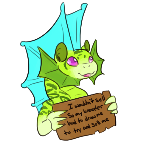 derp_dragon_that_wont_sell__by_caught_gaming-dbezlhw.png