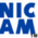 Sonic Team (1998-present) Icon mid 3/3