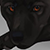 Black Pup Icon by KFCemployee