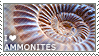 I love Ammonites by WishmasterAlchemist