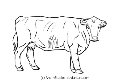 Hereford Younger cow line art by AhernStables on DeviantArt